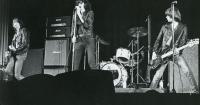 The Ramones first played in Toronto 50 years ago, igniting a musical revolution. An oral history from the people who were there