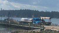 Atlantic salmon farmers push for growth here as imports top $750M