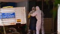 Despite zoonotic diseases threat, Keralam’s proposed veterinary public health wing yet to take shape