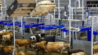 World Dairy Expo virtual farm tours showcase dairy innovation nationwide