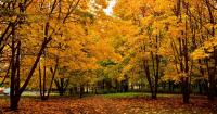 Fall has him reflecting on last words of loved ones, literature [I Know a Story column]