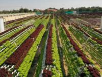 UAE steps up drive to take national products global