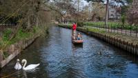 Week-long Kent river festival returns with new name and things to do