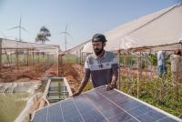 How clean energy can boost business for Africa’s food producers