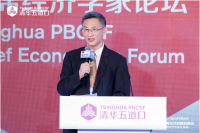 Issuing govt bonds overseas surefire way to address multiple issues, Tsinghua economist says