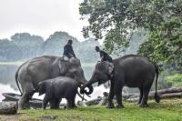 Indonesia accepts Malaysian help to fight wildfires