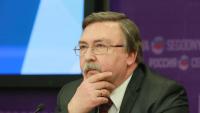 Russia’s Envoy in Vienna: Ukraine Regularly Targets Nuclear Facilities