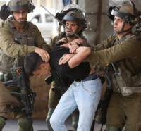 Prisoners' Media: Israeli enemy arrests 15 Palestinians, including woman, three brothers, in West Bank