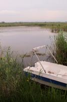 Ecological Disaster: Bulgaria Saves Its Lakes with Danube Water