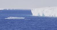 Greenland, Antarctica lose 11.3 trln tons of ice in over 40 years: research