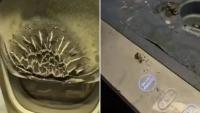 Plane forced to return as power bank bursts into flames midair after ‘airline’s former-CEO ignored ban’