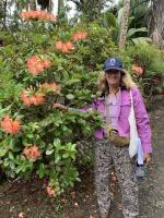 Tropical Gardening: Welcome fall with colorful rhododendrons and hydrangeas