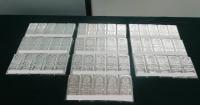 Hong Kong Customs Seizes $1 Million in Smuggled Silver at Bridge, Arrests Driver