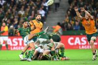 Rassie: Australia Test crucial step on Boks’ road to 2027 World Cup