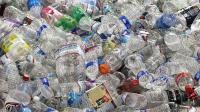 Fears over 'bin divers' when new recycling rule hits England