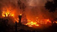 Scientist warns world will end in weeks after correct AI prediction