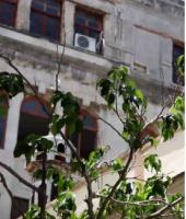 Havana’s only mosque is a haven for Muslims in Cuba