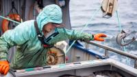 West Coast lawmakers urge USDA to support local seafood industry