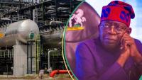 Marketers tell FG, NNPCL what to do about refineries as Nigerians groan over rising petrol prices