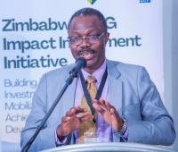 Zimbabwe’s Impact lnvestment Map ldentifies 98 Potential Opportunities for lnvestors 