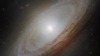 Scientists want to know what this distant galaxy ate to make it so weird