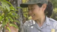 Hawaiʻi Volcanoes National Park ecologist earns prestigious award for natural resources management