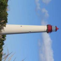 It’s In Your Nature: Cape May in New Jersey a birding hot spot best this time of year