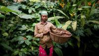 How to Explore the Indian Ocean Through Its Spices