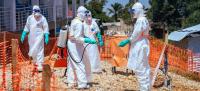 Ebola in DRC: African health agency refuses to validate the end of the epidemic peak