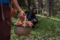 Mushroom foraging is a slower way to enjoy the outdoors; that’s what makes it awesome