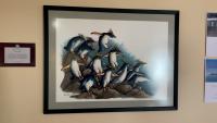 Falklands Conservation Preview 2026 Art Auction