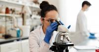 Scientists Create Mice With Human Brain Cells