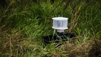 Belgian Researchers Study Italy’s West Nile Virus Response as European Cases Rise In Brussels