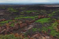 Belgian Greens Demand National Climate Command Unit After Wildfire, Mechelen