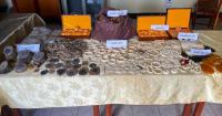 Luang Prabang Seizes 28kg of Suspected Wildlife Products, Detains Foreign Man