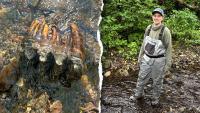 Strange rock catches scientist's eye during creek search, leading to rare discovery