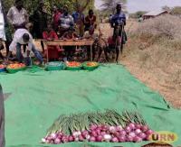 Karamoja consumers question safety of vegetables brought in from outside region