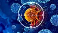 Bengaluru firm ropes in Israel’s P-Cure to launch network of compact proton therapy centres in India