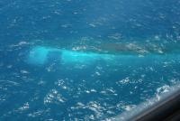 Indonesia continues search for ferry accident missing