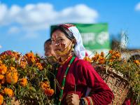 The quiet counterrevolution in the Kumaon Himalayas