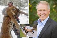 Idaho surgeon dies in freak car crash with elk
