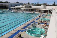 Swim coach attack: Victim treated at emergency department