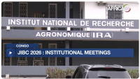 Congo : Public & Private Sectors Drive Innovation