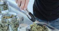 Most North Carolinians support legalizing marijuana, Elon poll finds