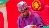 Breaking: Top Nigerian Senator Sacks Aide After campaigning against Kano gov, “Abba Must Go”