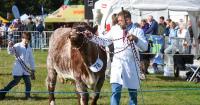 In pictures: Farming, food and fun as thousands celebrate 166th annual Stokesley Show