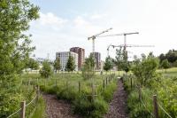 Brussels Launches 100+ Free Nature and Biodiversity Events