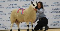 Disappointing Kerry Hill trade at Lanark