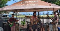 'Not just another cover band': This Myrtle Beach music series is all about originality