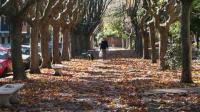 Weather in Buenos Aires: Saturday, September 19 with a mild afternoon of 20°C before an unstable front in the region